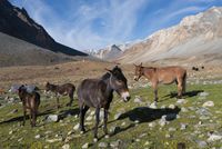 2014_ladakh_rs_P1000884