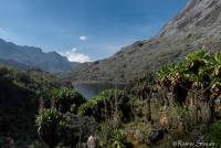 2017_01_12-5_Uganda_Ruwenzori_rs_DSCF4853